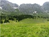 Planina Pecol in pod rob Montaža prelepi pogledi nad zeleno-cvetočo poljano